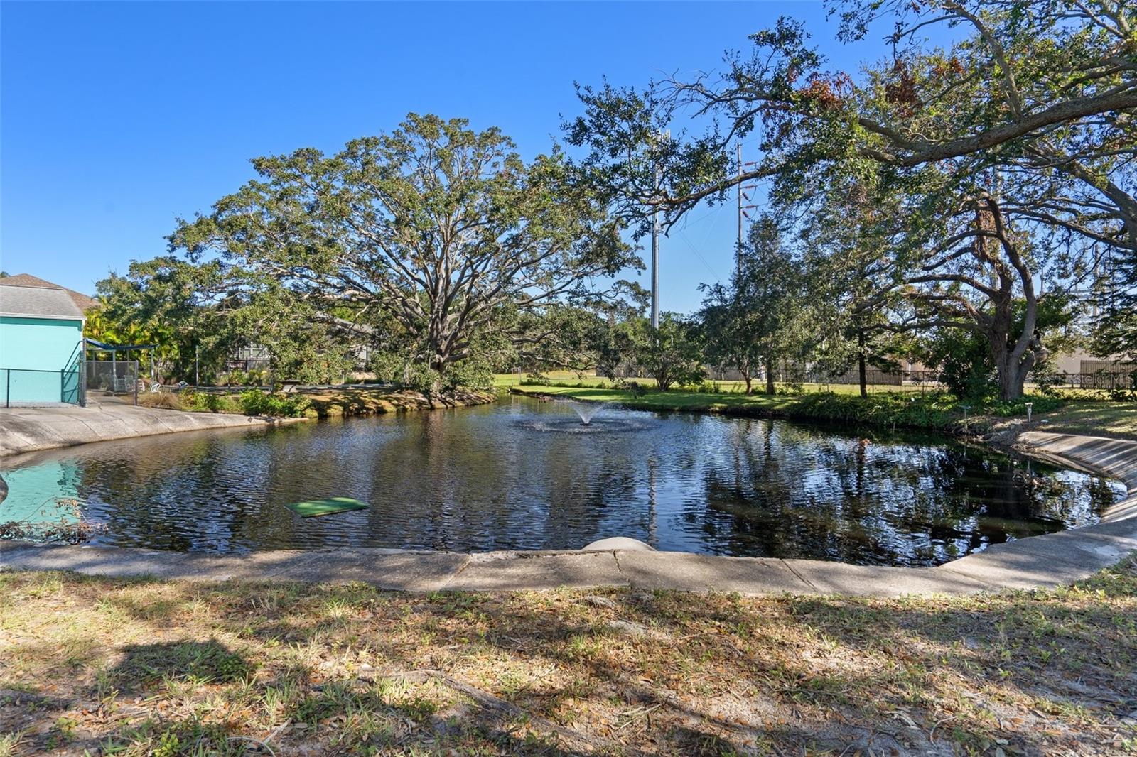 1002 IBIS CT, DUNEDIN, FL, 34698