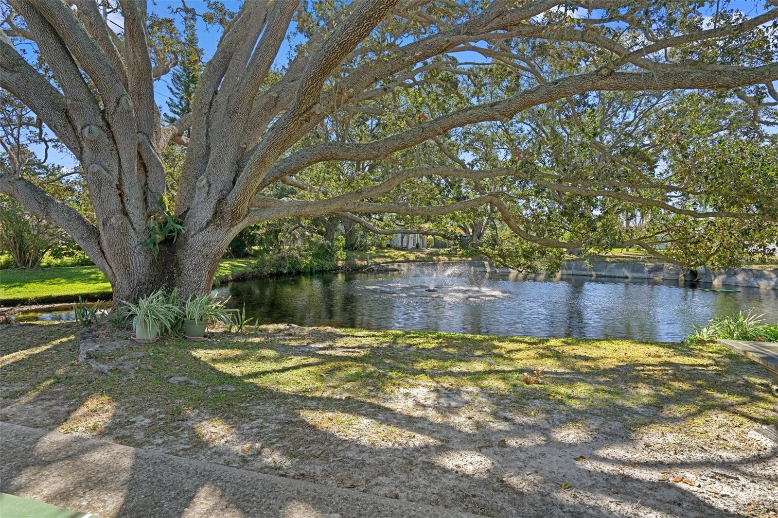 1002 IBIS CT, DUNEDIN, FL, 34698