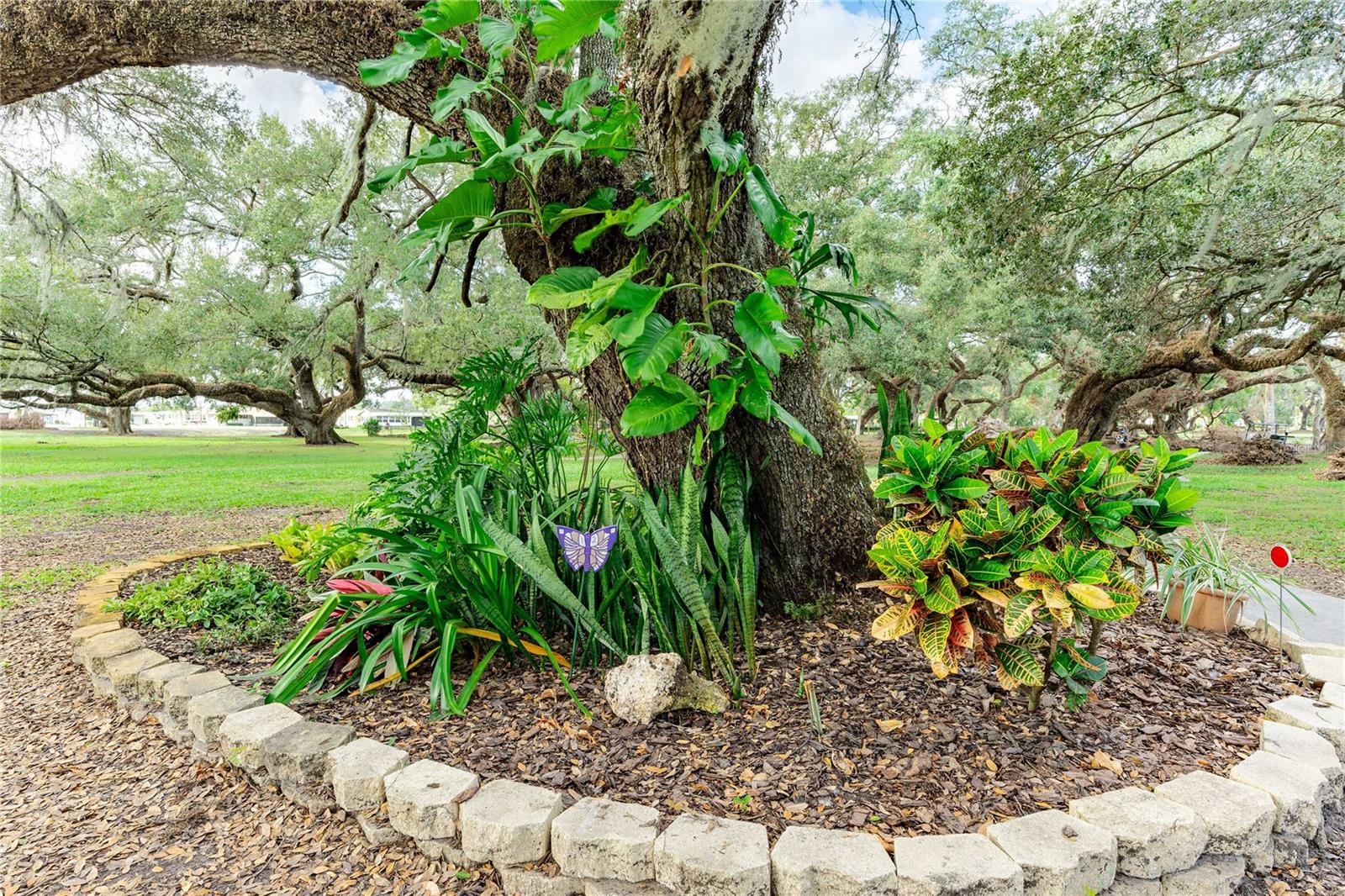 5613 PAWNEE ST, ZEPHYRHILLS, FL, 33542