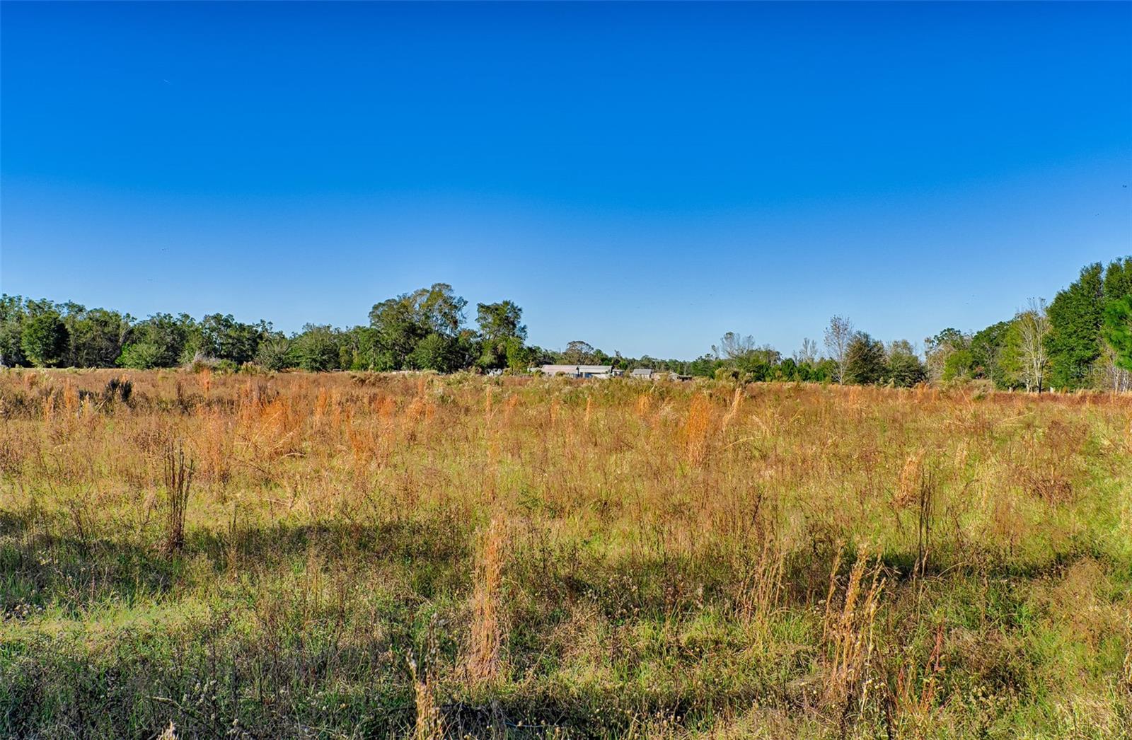 281 SW MERCIFUL PL, FORT WHITE, FL, 32038