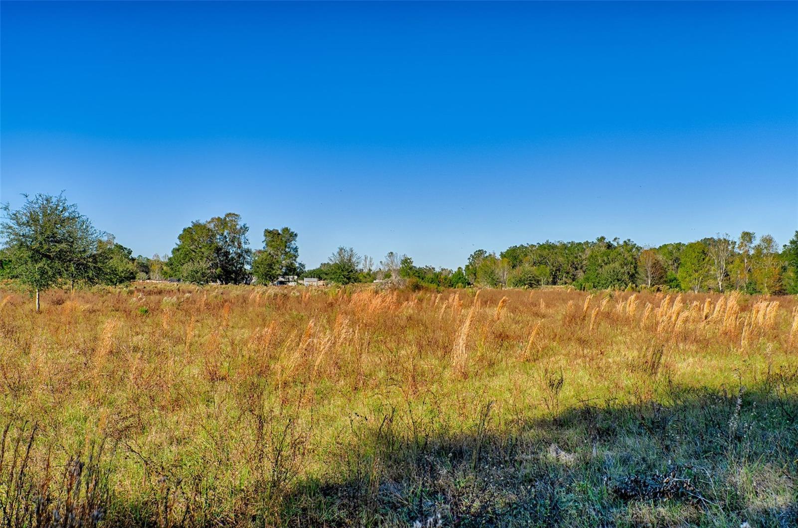 281 SW MERCIFUL PL, FORT WHITE, FL, 32038