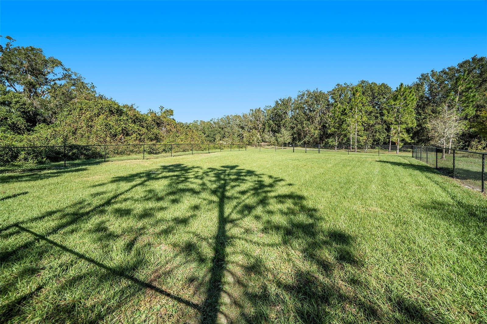 39822 HARMON GROVE CT, ZEPHYRHILLS, FL, 33540