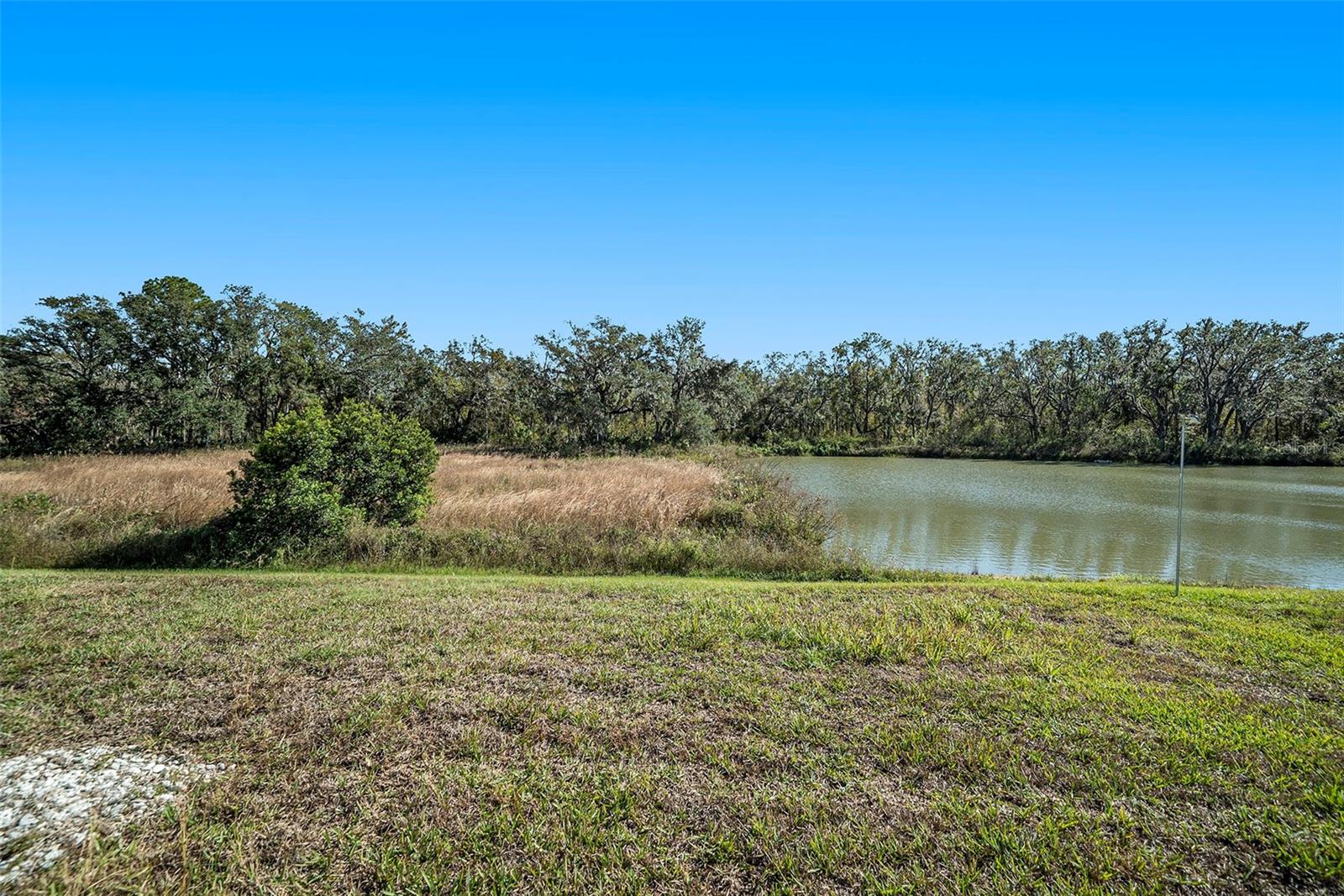 39822 HARMON GROVE CT, ZEPHYRHILLS, FL, 33540