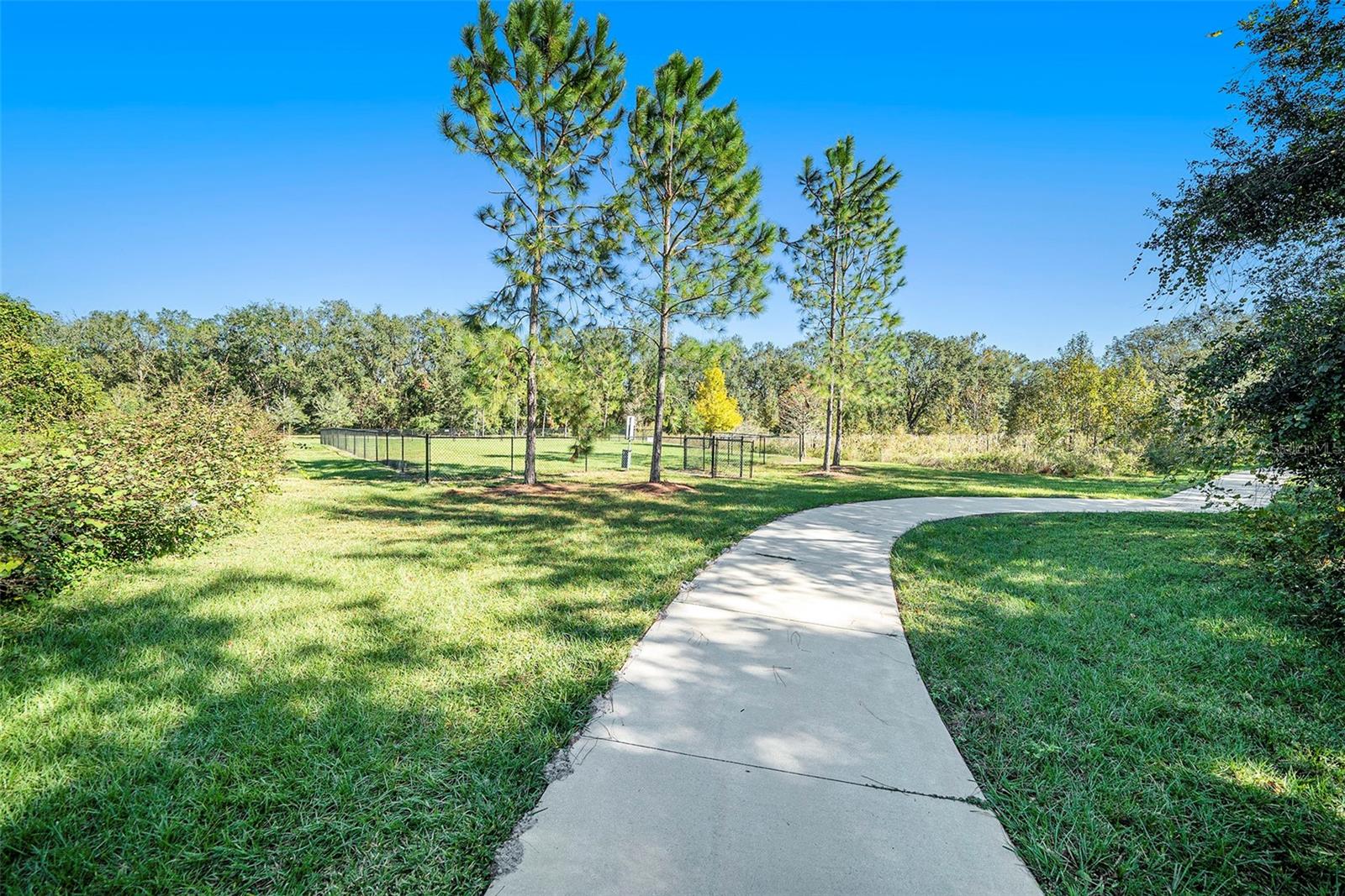 39822 HARMON GROVE CT, ZEPHYRHILLS, FL, 33540