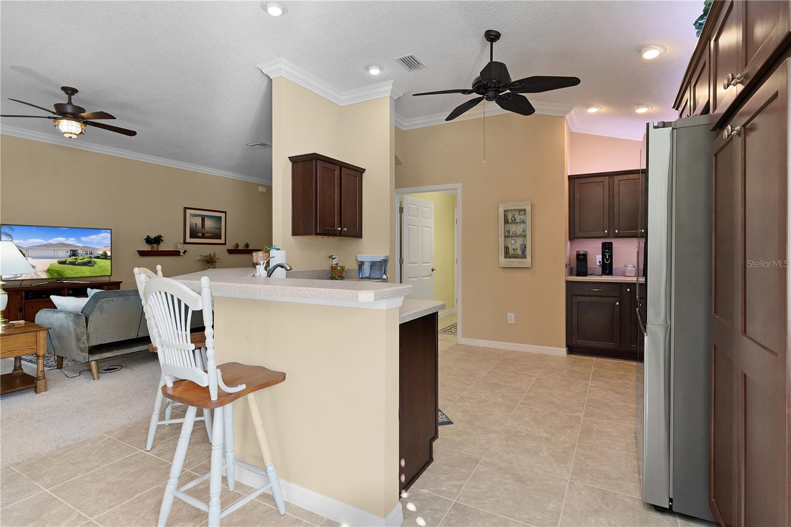 3402 FOUNTAINHEAD AVE, THE VILLAGES, FL, 32163