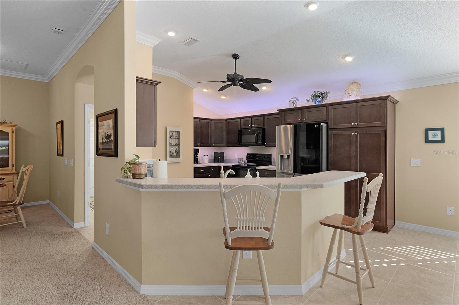 3402 FOUNTAINHEAD AVE, THE VILLAGES, FL, 32163