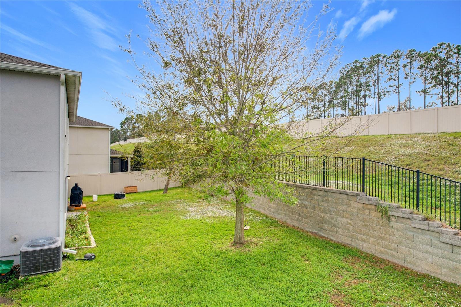 11449 WISHING WELL LN, CLERMONT, FL, 34711