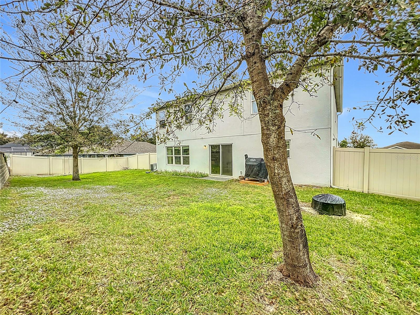 11449 WISHING WELL LN, CLERMONT, FL, 34711