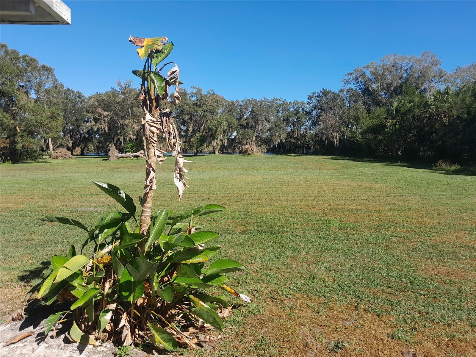 2607 OSCEOLA BLUFF LN, GENEVA, FL, 32732