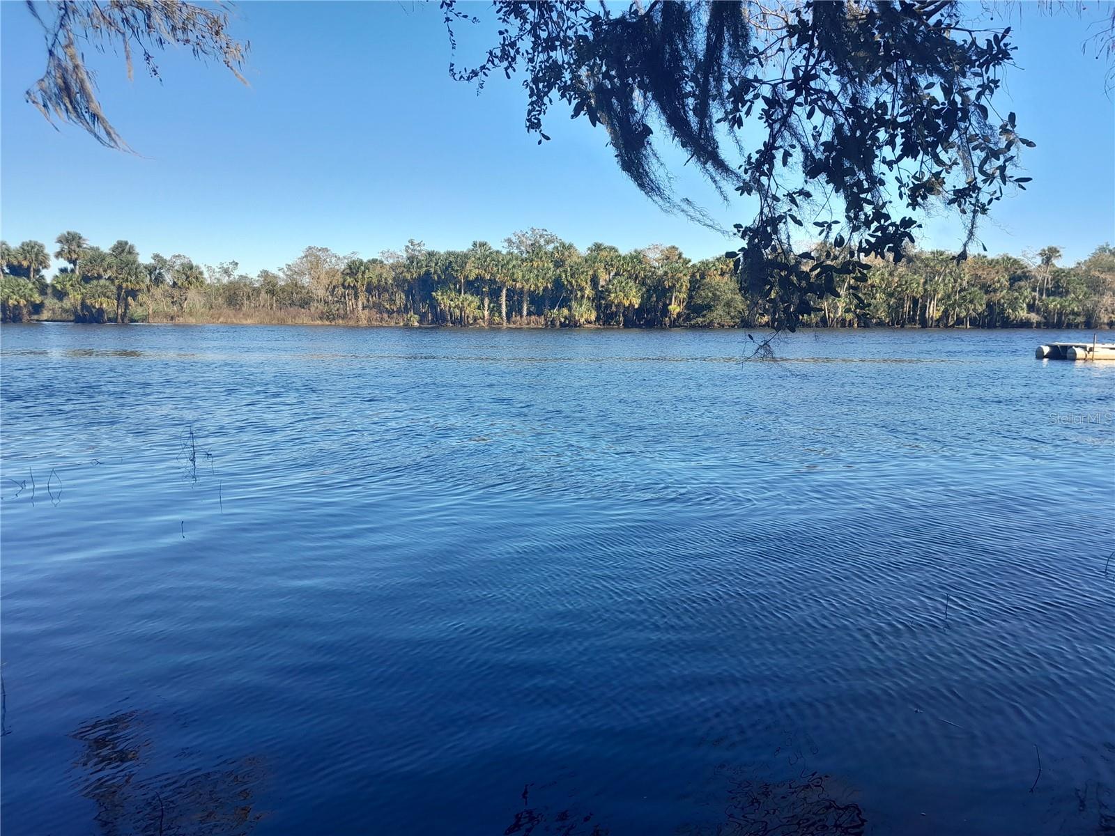 2607 OSCEOLA BLUFF LN, GENEVA, FL, 32732