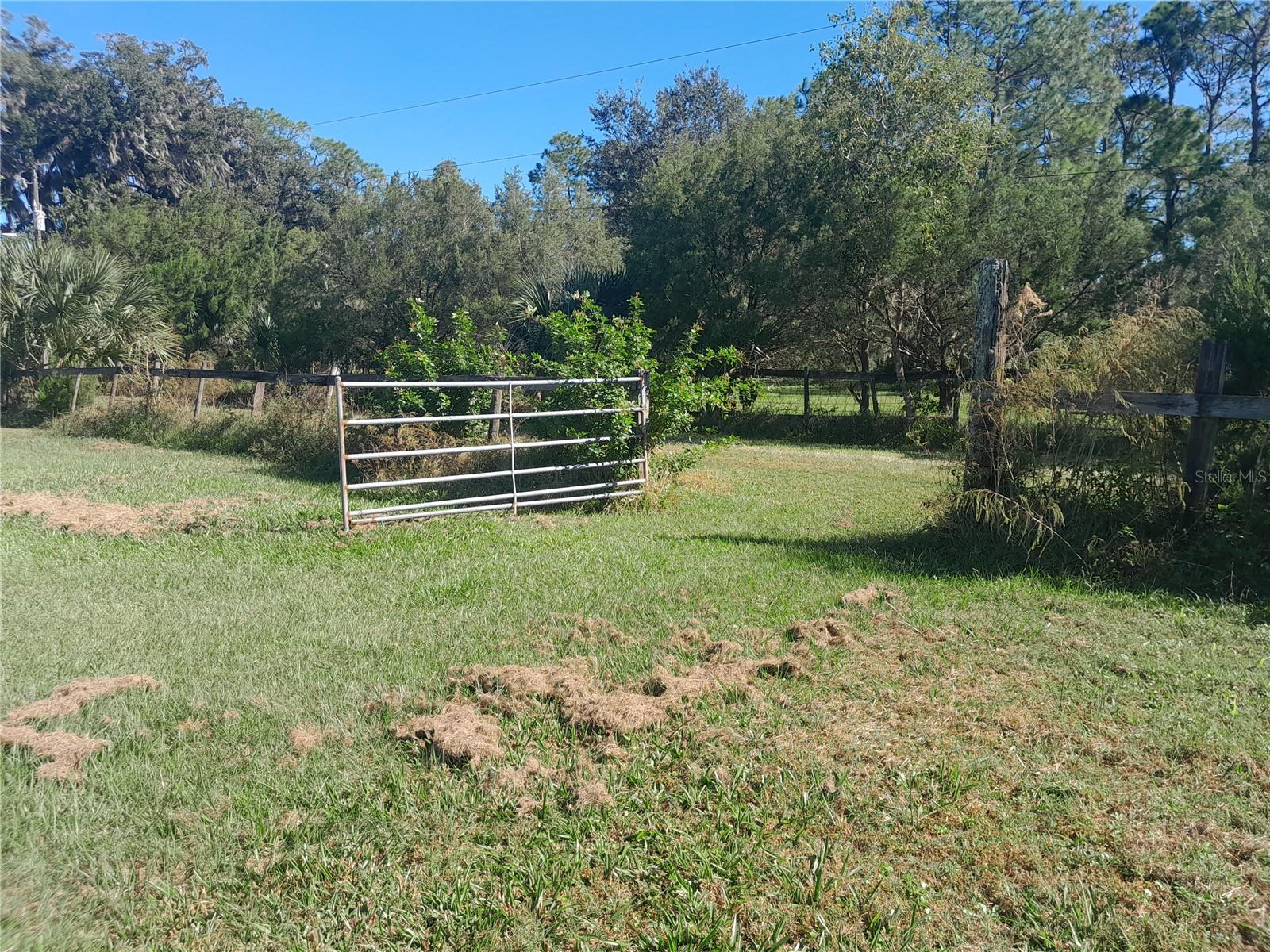 2607 OSCEOLA BLUFF LN, GENEVA, FL, 32732