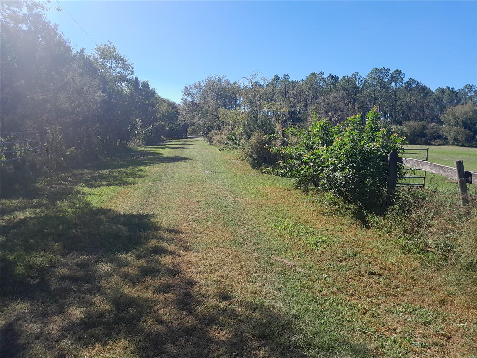 2607 OSCEOLA BLUFF LN, GENEVA, FL, 32732