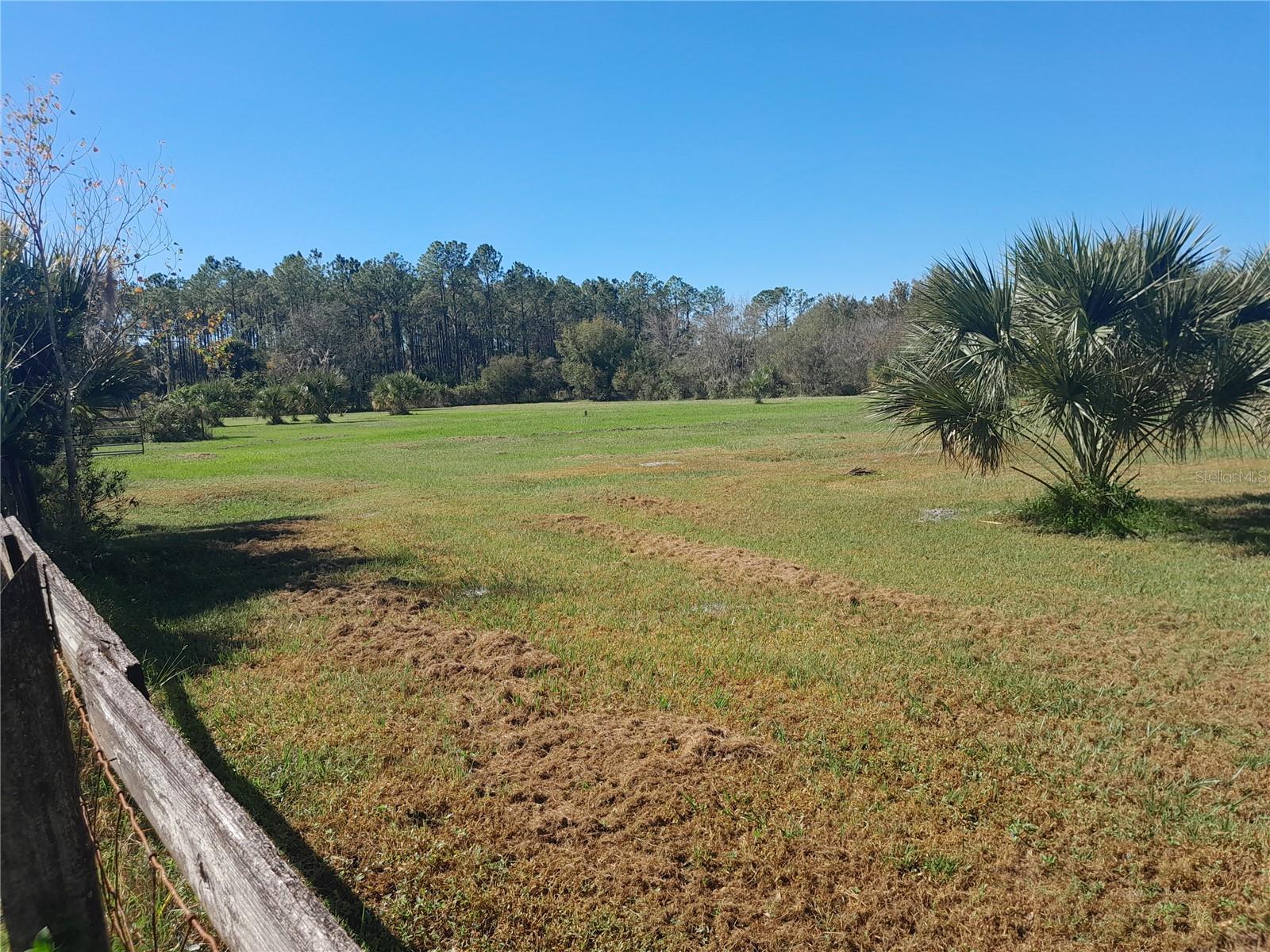 2607 OSCEOLA BLUFF LN, GENEVA, FL, 32732
