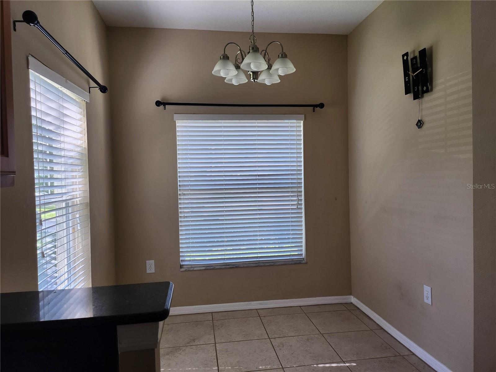 8514 BROKEN WILLOW CT, TAMPA, FL, 33647