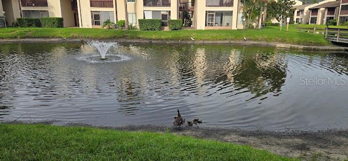 8632 TAHOE CT #7, TAMPA, FL, 33614