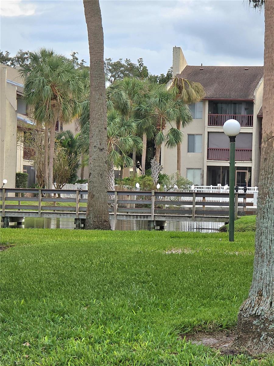 8632 TAHOE CT #7, TAMPA, FL, 33614