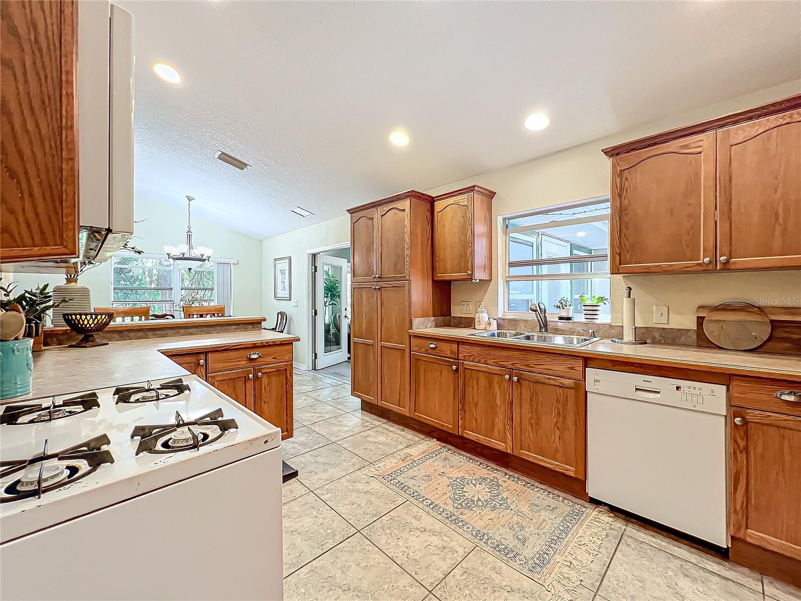 1415 E 9TH AVE, MOUNT DORA, FL, 32757