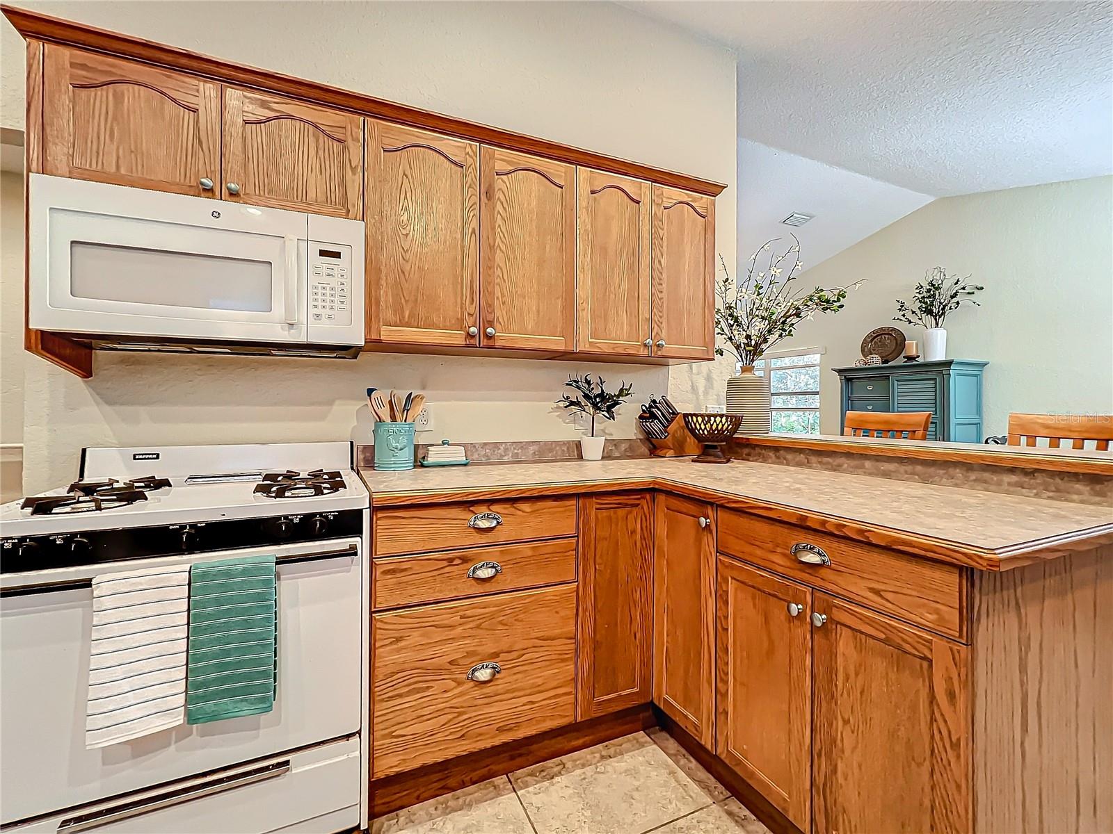 1415 E 9TH AVE, MOUNT DORA, FL, 32757