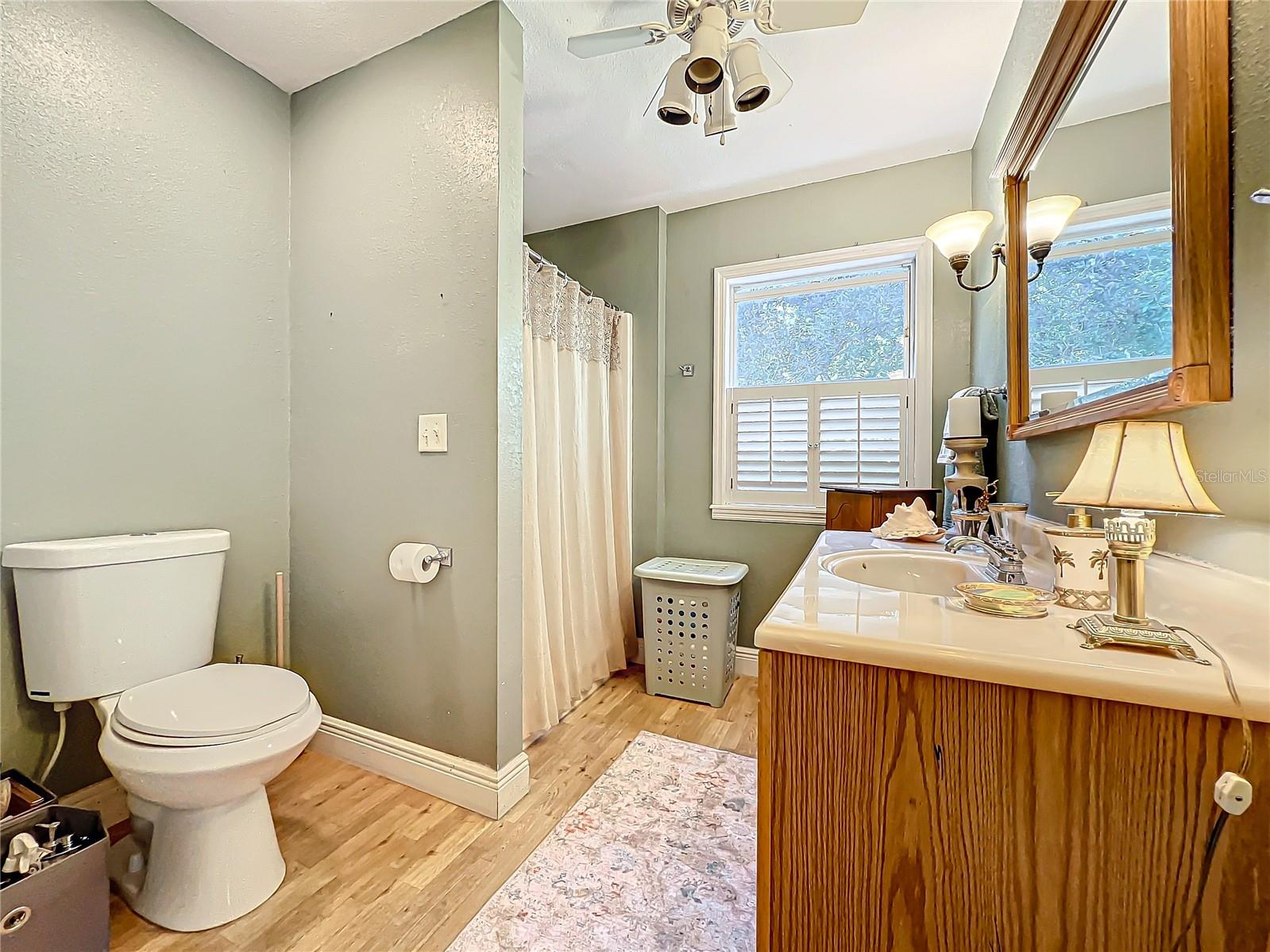 1415 E 9TH AVE, MOUNT DORA, FL, 32757