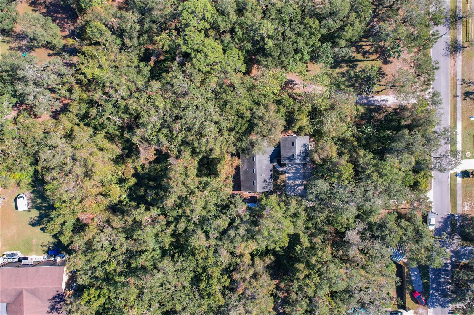 1415 E 9TH AVE, MOUNT DORA, FL, 32757
