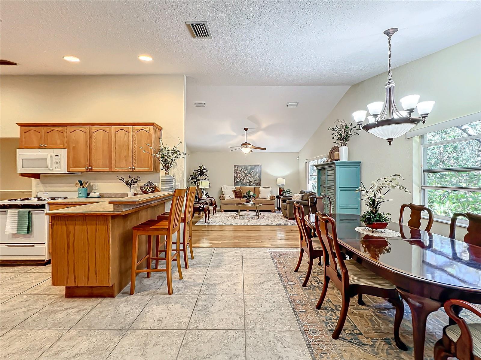 1415 E 9TH AVE, MOUNT DORA, FL, 32757