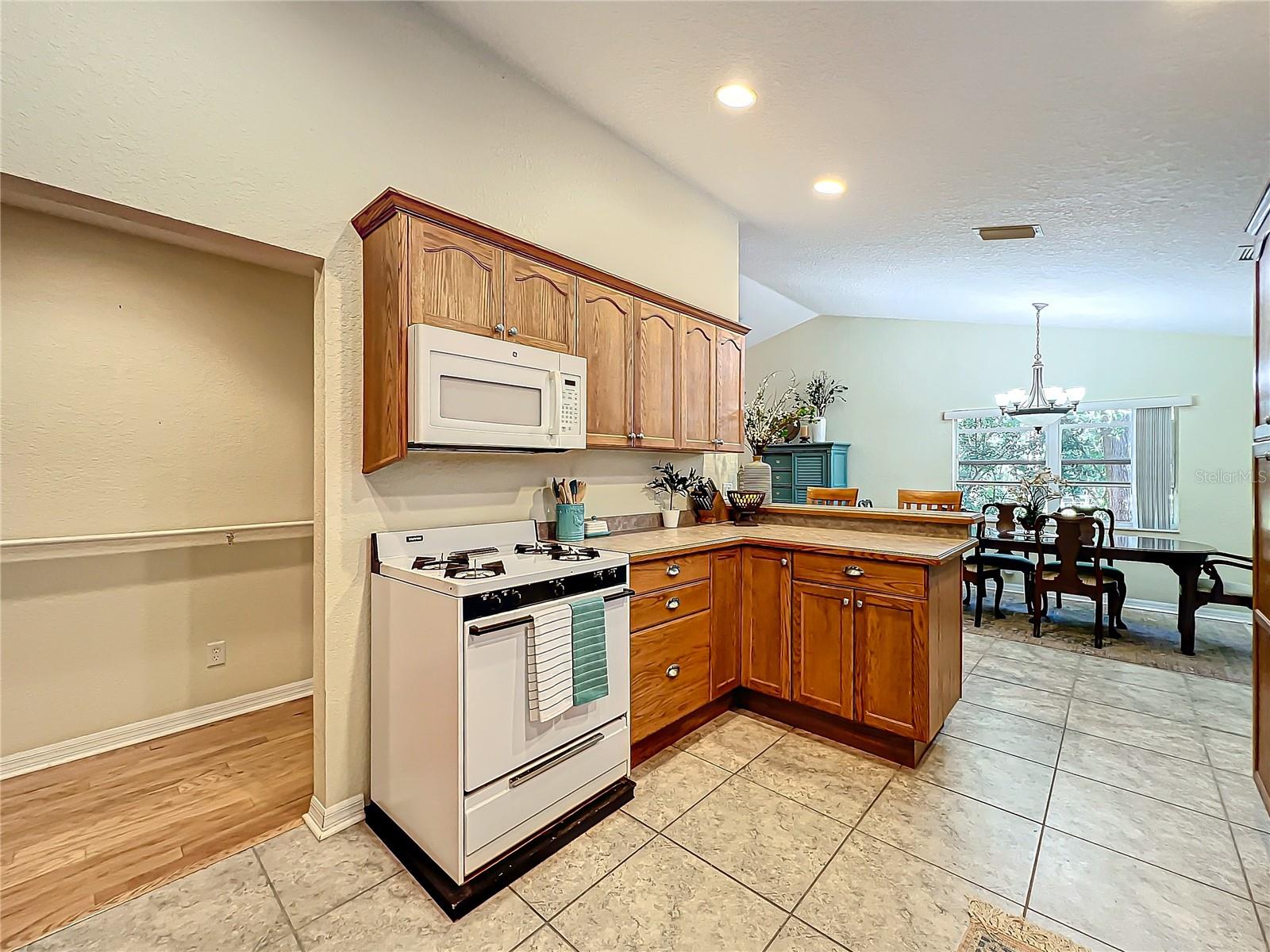 1415 E 9TH AVE, MOUNT DORA, FL, 32757