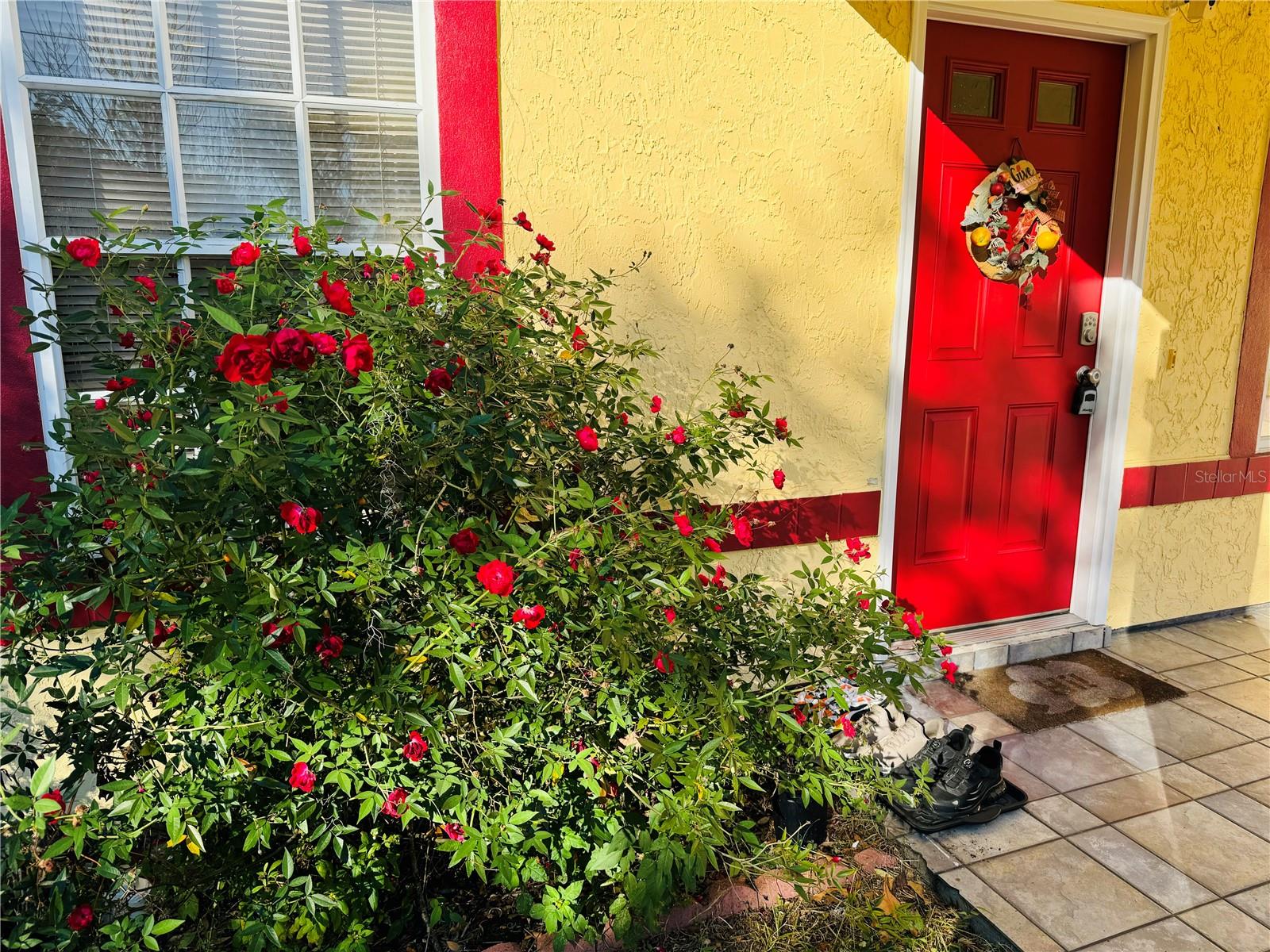 39 OAK PASS LOOP, OCALA, FL, 34472
