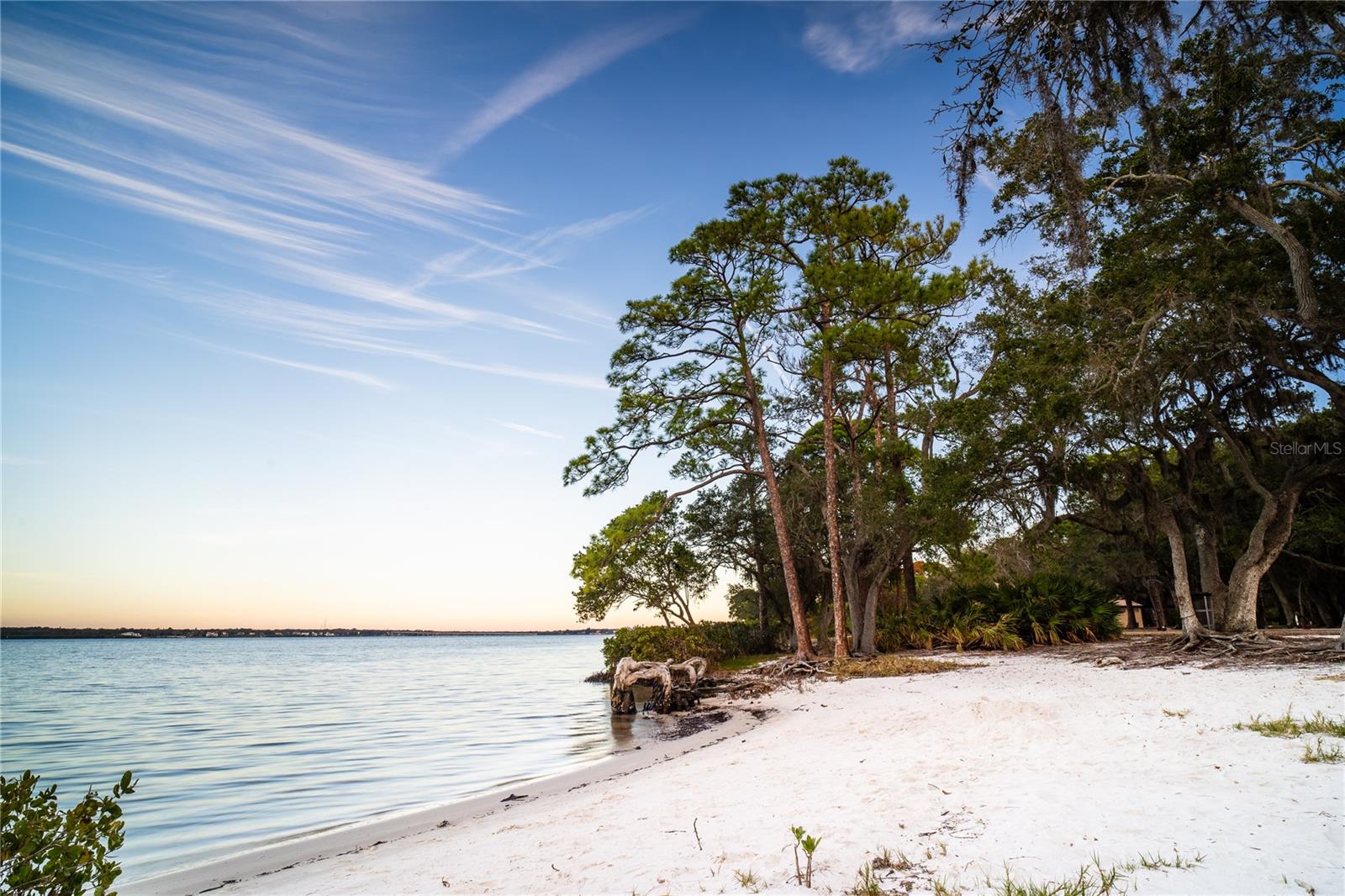 310 WASHINGTON AVE, OLDSMAR, FL, 34677