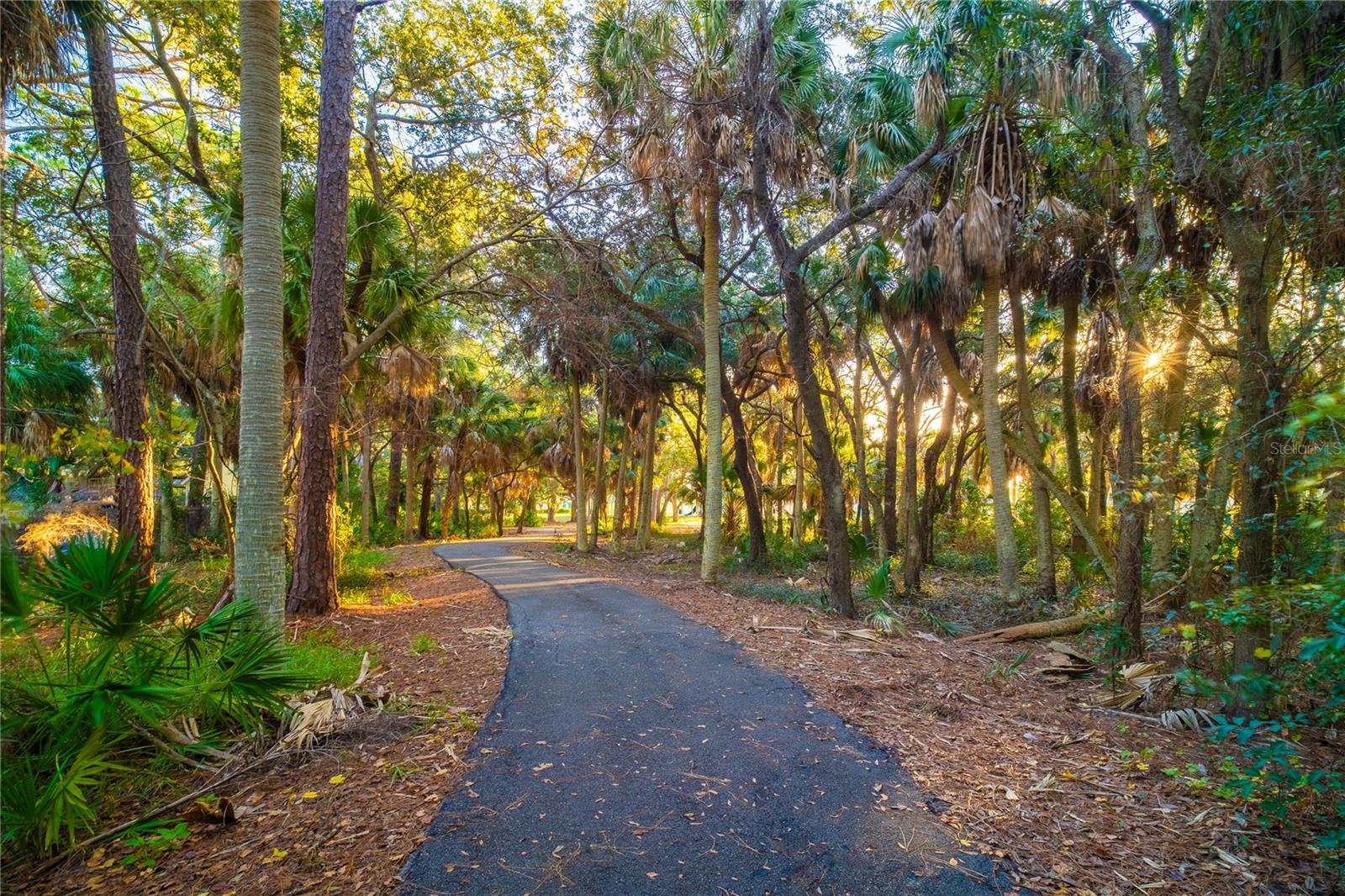 310 WASHINGTON AVE, OLDSMAR, FL, 34677