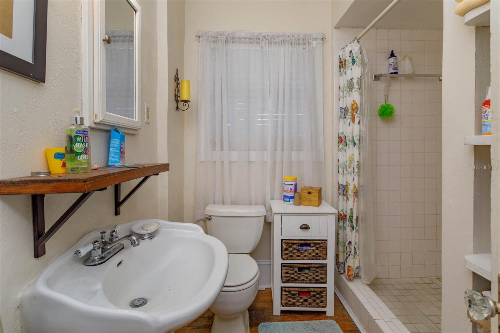 133 AGNES ST, WINTER GARDEN, FL, 34787