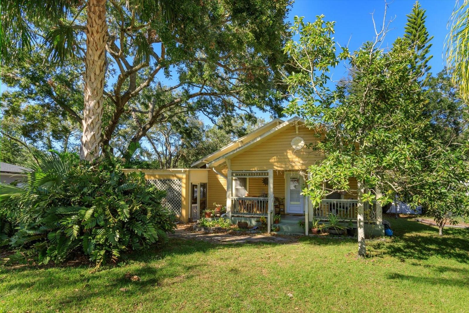133 AGNES ST, WINTER GARDEN, FL, 34787