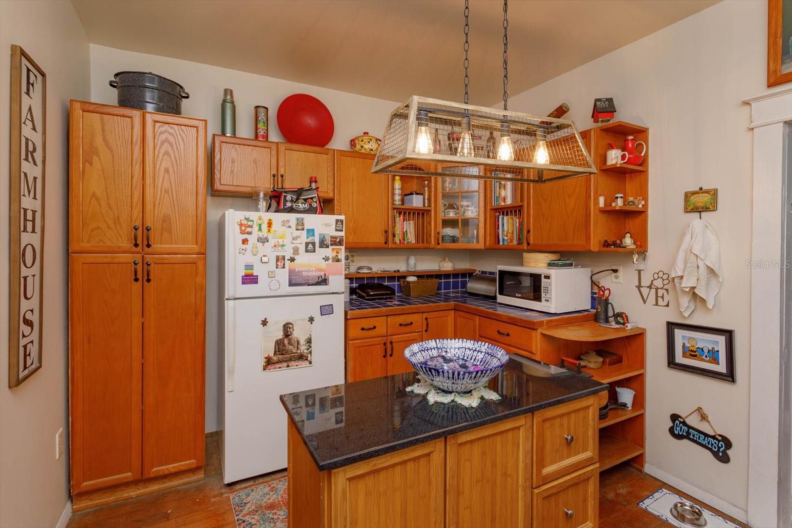 133 AGNES ST, WINTER GARDEN, FL, 34787
