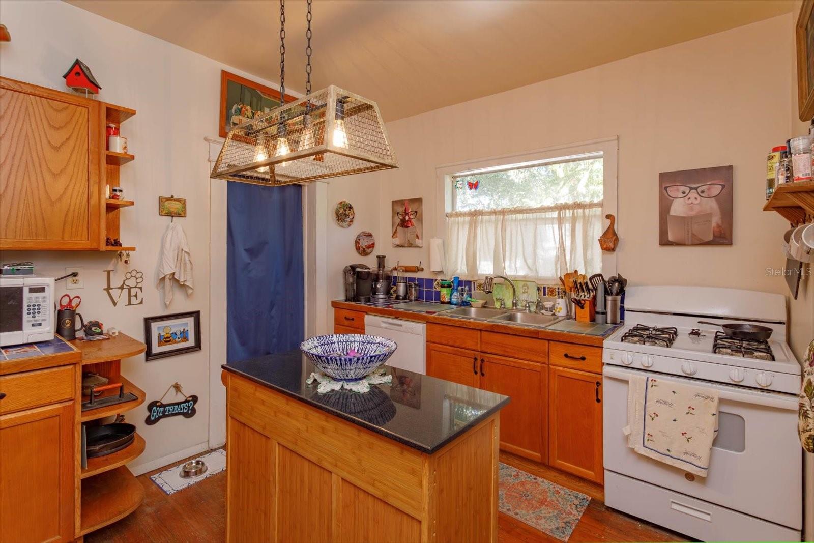 133 AGNES ST, WINTER GARDEN, FL, 34787