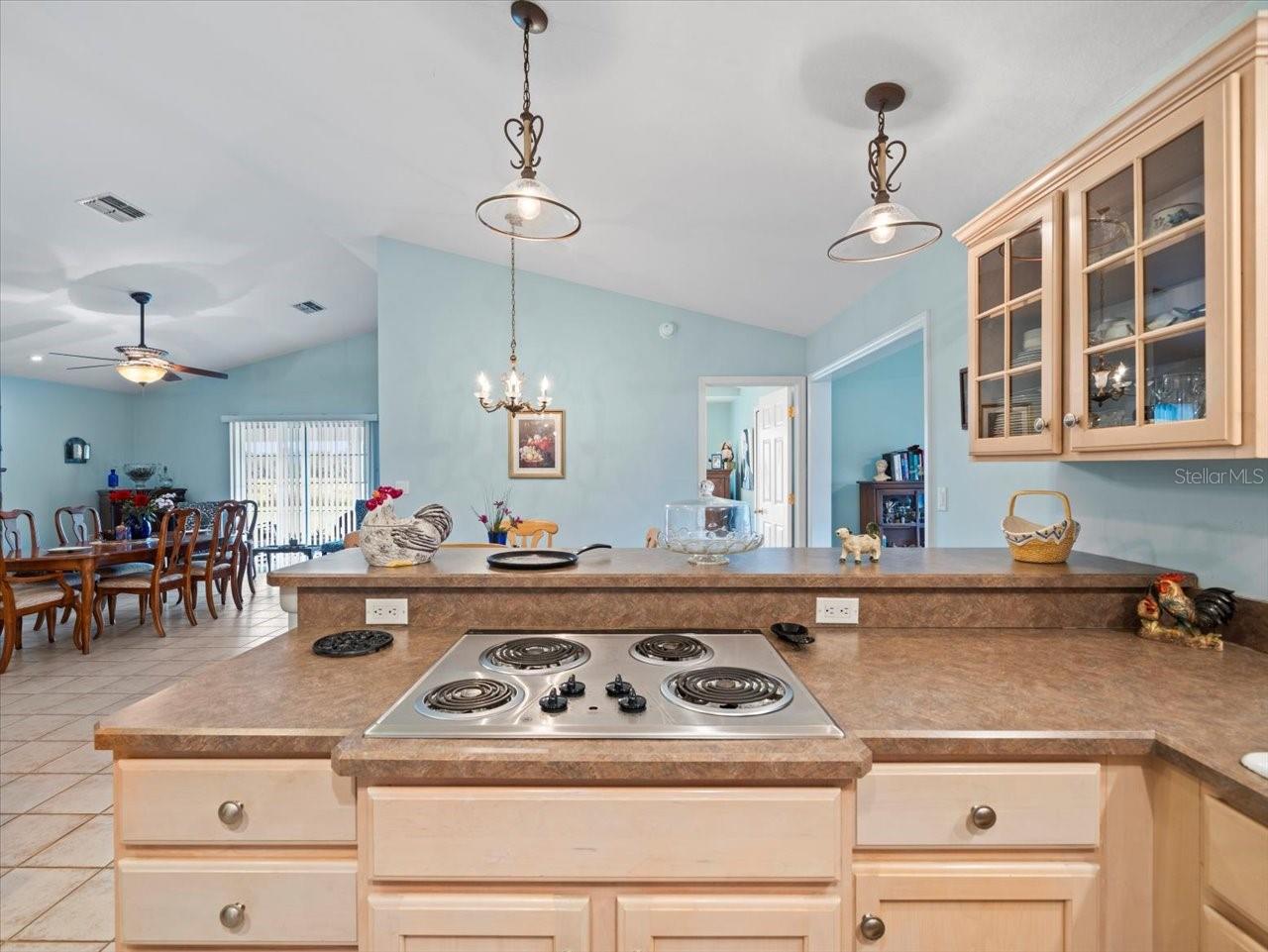 18479 MASON SMITH RD, BROOKSVILLE, FL, 34601