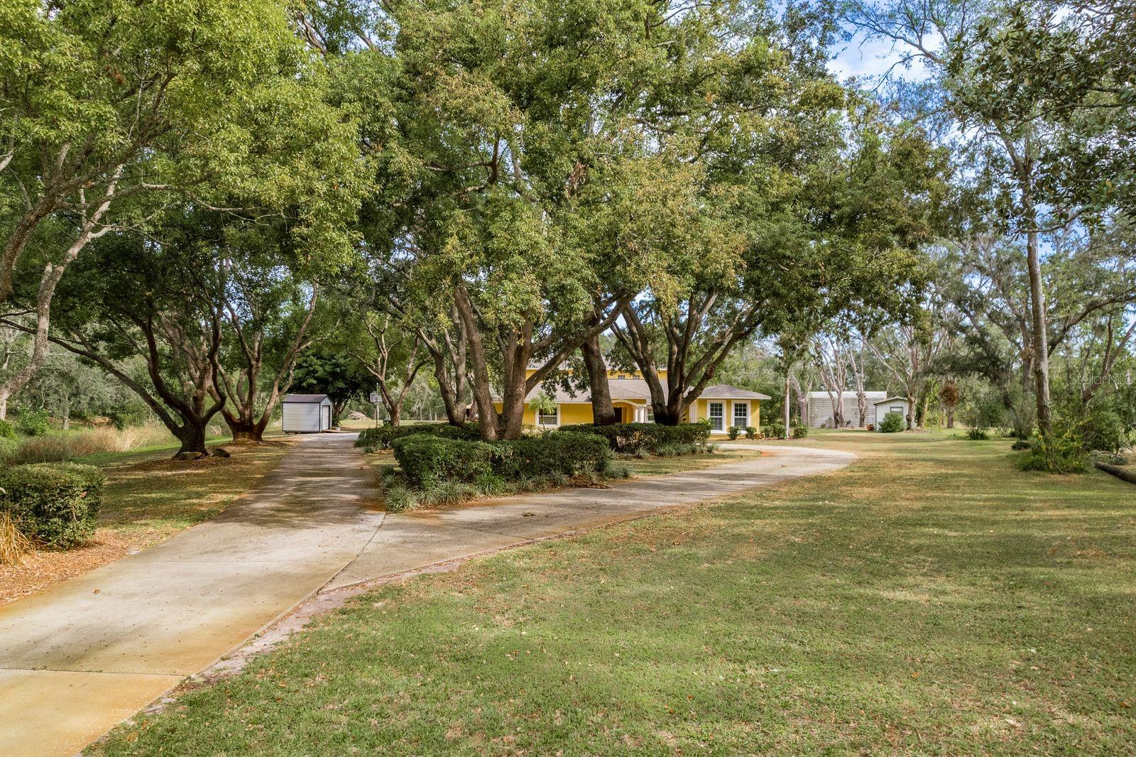 6653 CATALPA DR, NEW PORT RICHEY, FL, 34655