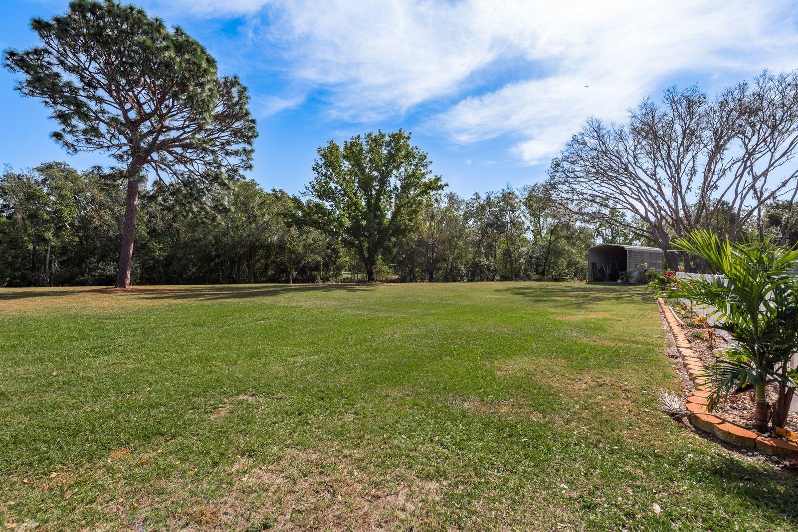 6653 CATALPA DR, NEW PORT RICHEY, FL, 34655