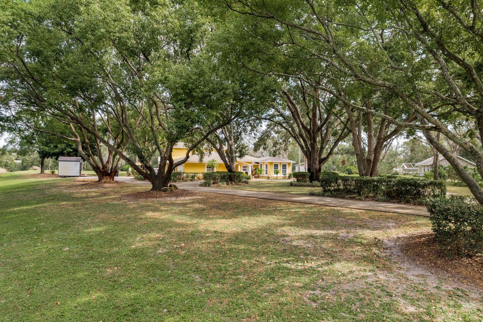 6653 CATALPA DR, NEW PORT RICHEY, FL, 34655
