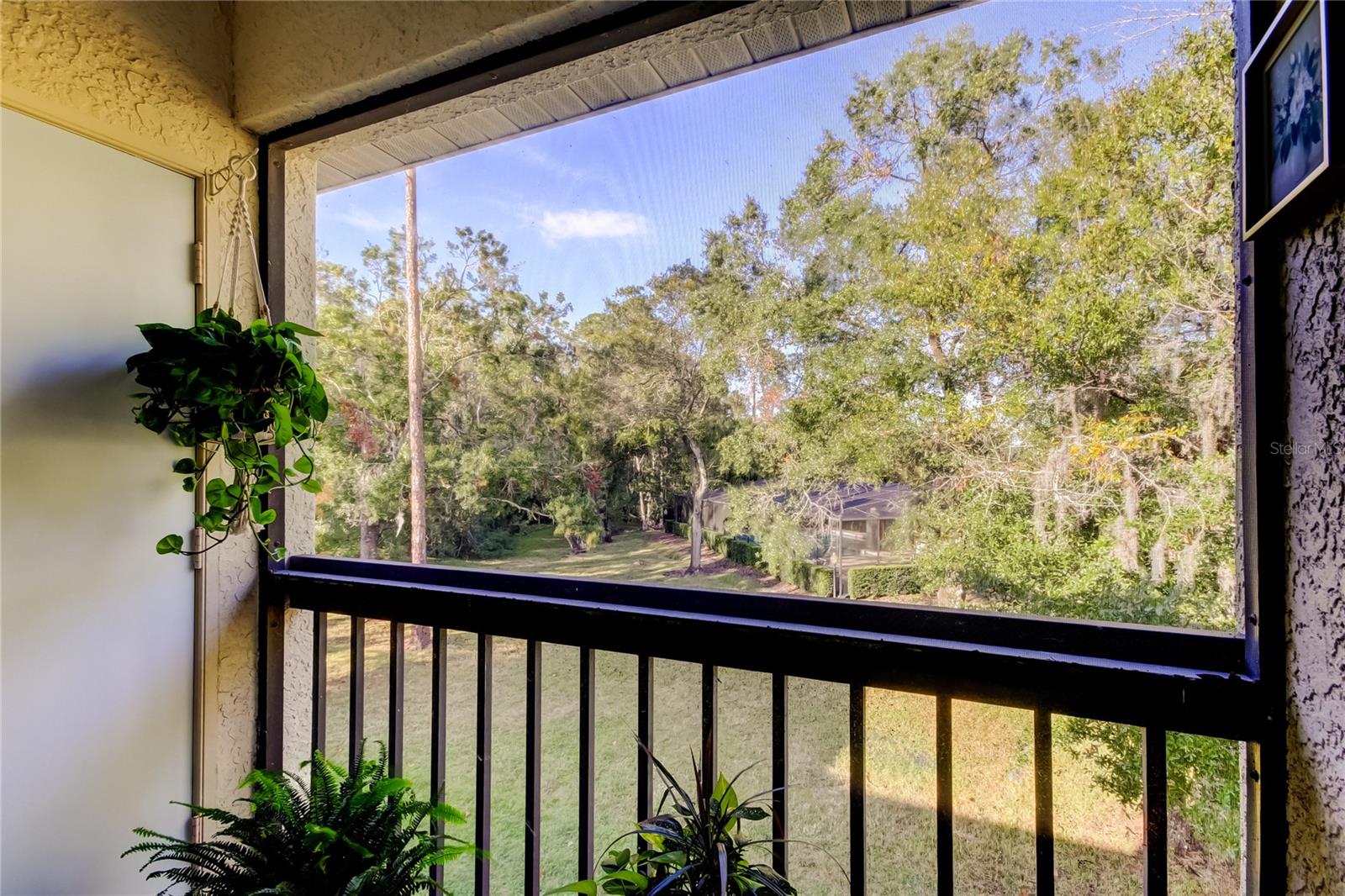 3382 MERMOOR DR #3201, PALM HARBOR, FL, 34685