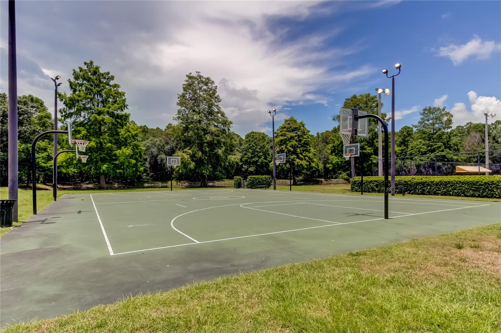3382 MERMOOR DR #3201, PALM HARBOR, FL, 34685
