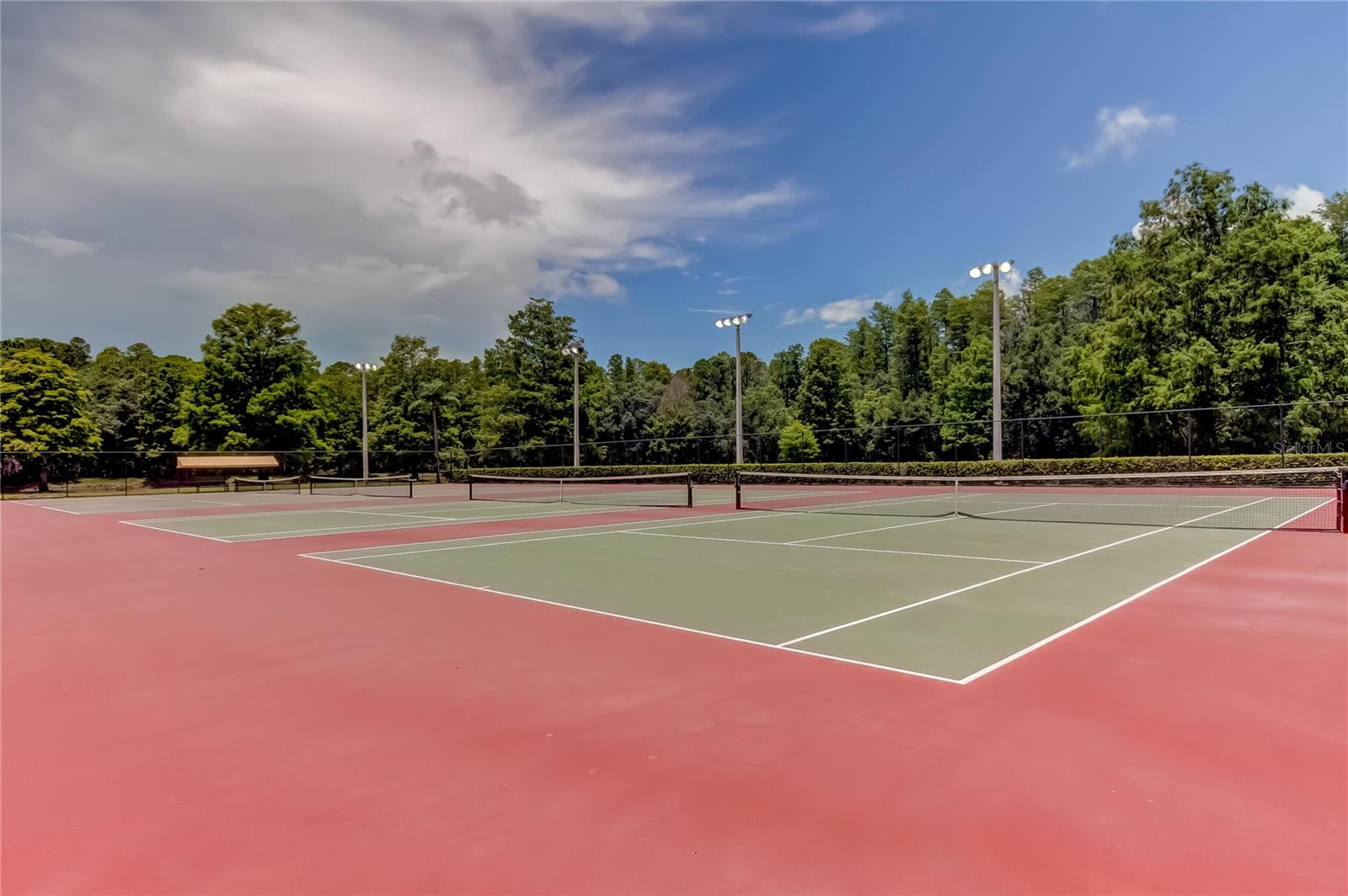 3382 MERMOOR DR #3201, PALM HARBOR, FL, 34685