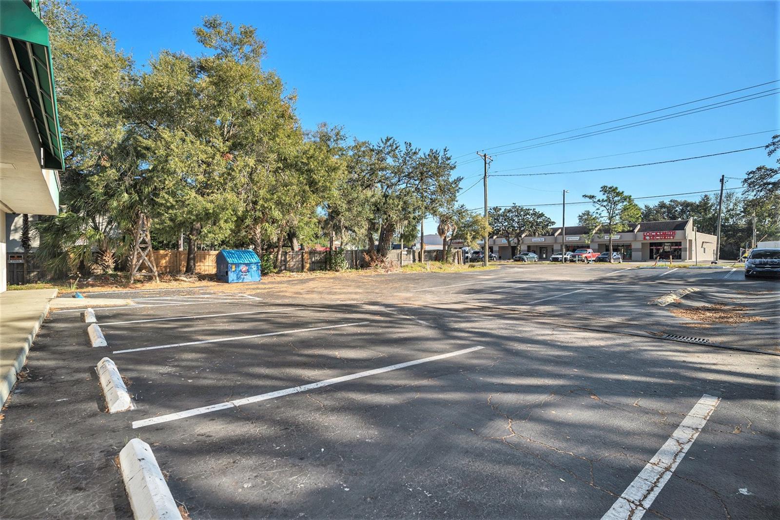 116 N KINGS AVE, BRANDON, FL, 33510