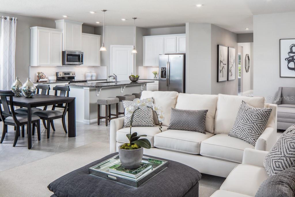 6038 DROPWORT DR, WIMAUMA, FL, 33598