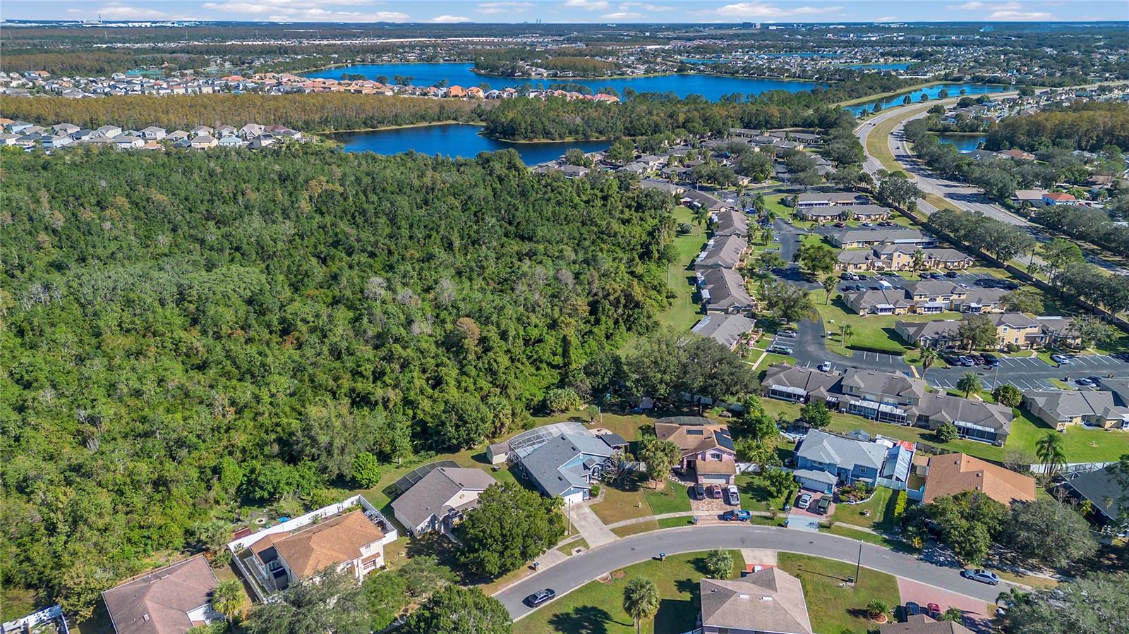 3113 BIRDS REST PL, KISSIMMEE, FL, 34743