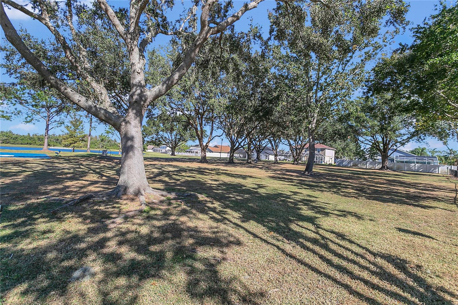 3113 BIRDS REST PL, KISSIMMEE, FL, 34743