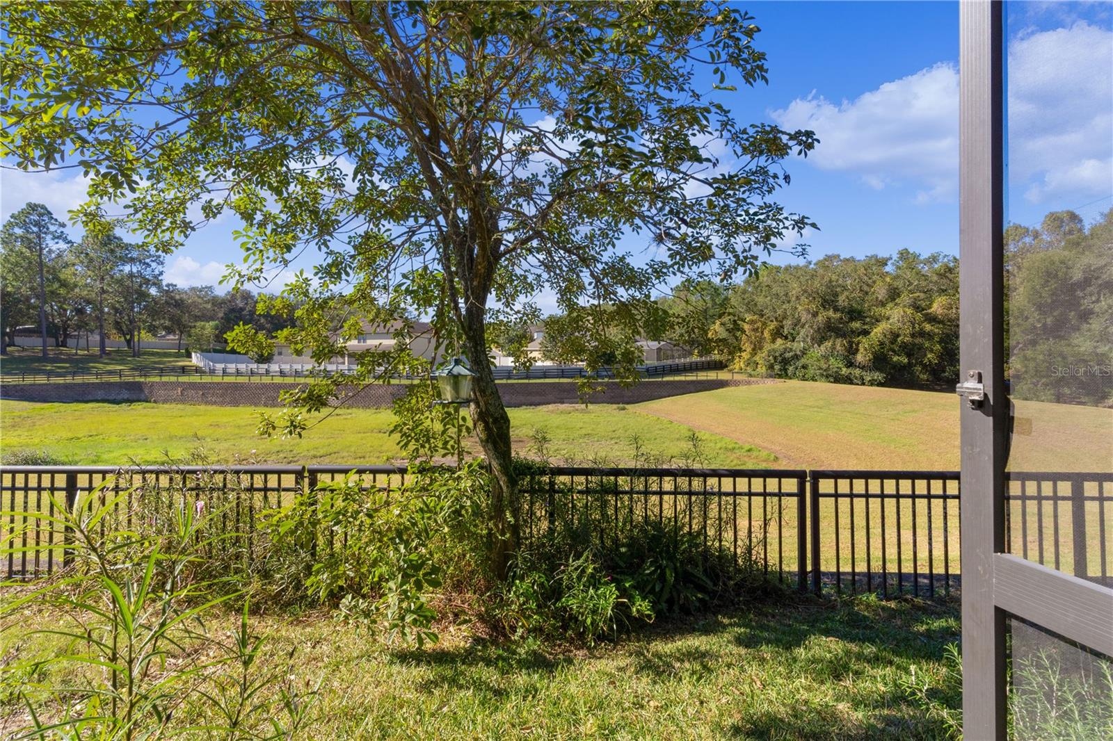 30628 LIPIZZAN TER, MOUNT DORA, FL, 32757