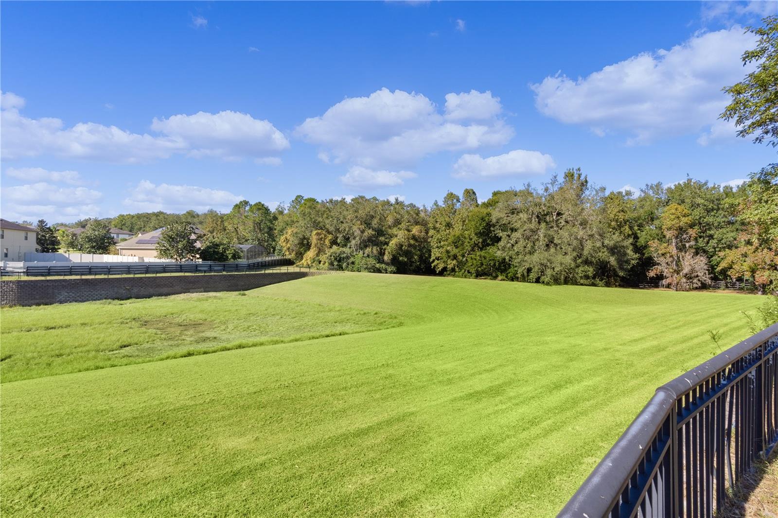 30628 LIPIZZAN TER, MOUNT DORA, FL, 32757