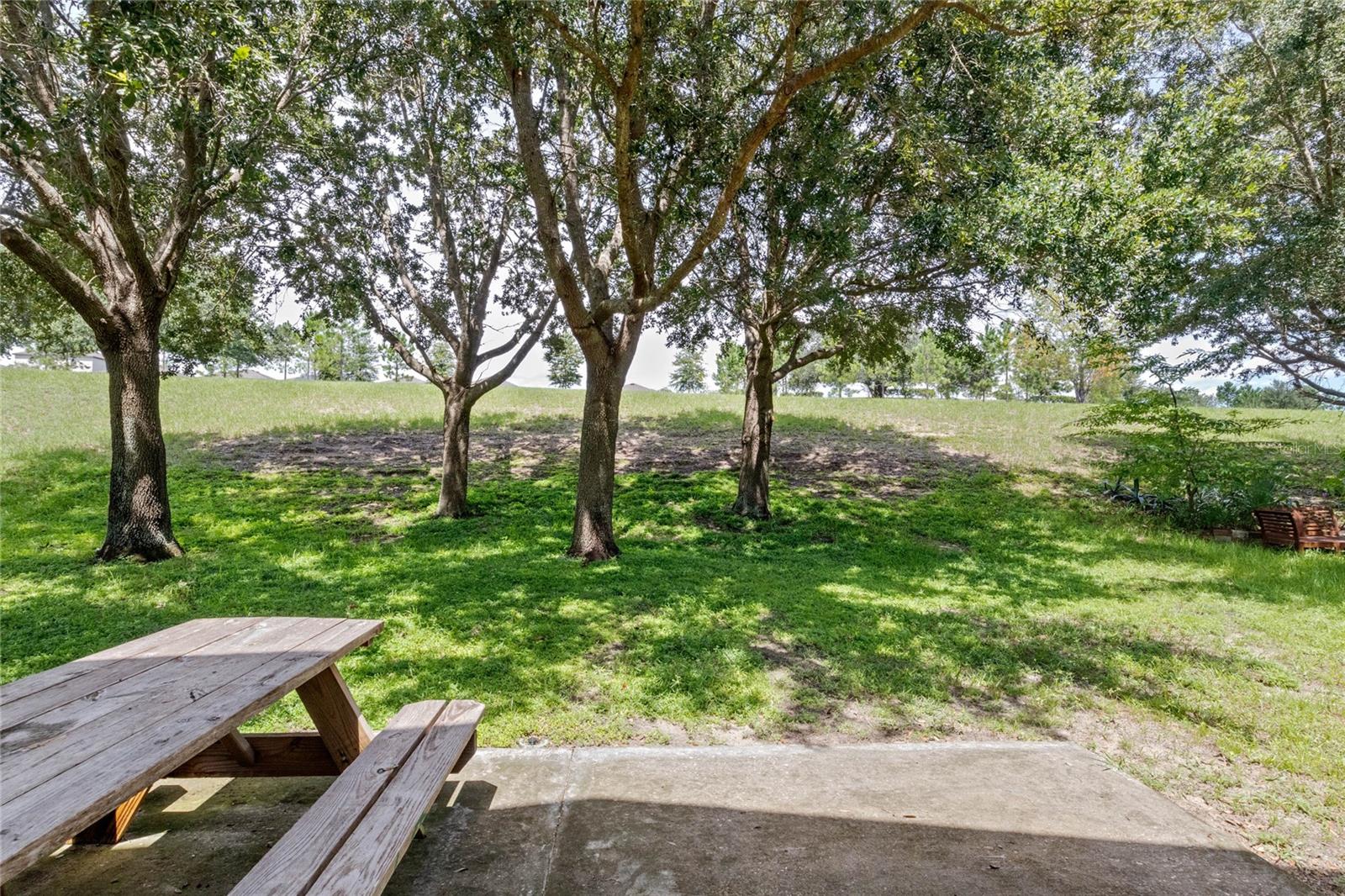 239 PIMA TRL, GROVELAND, FL, 34736