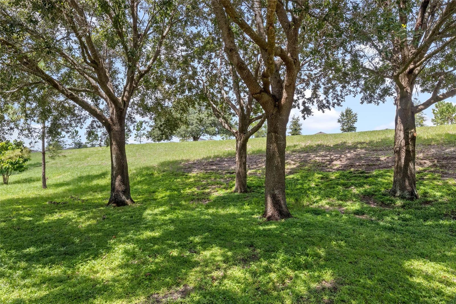 239 PIMA TRL, GROVELAND, FL, 34736