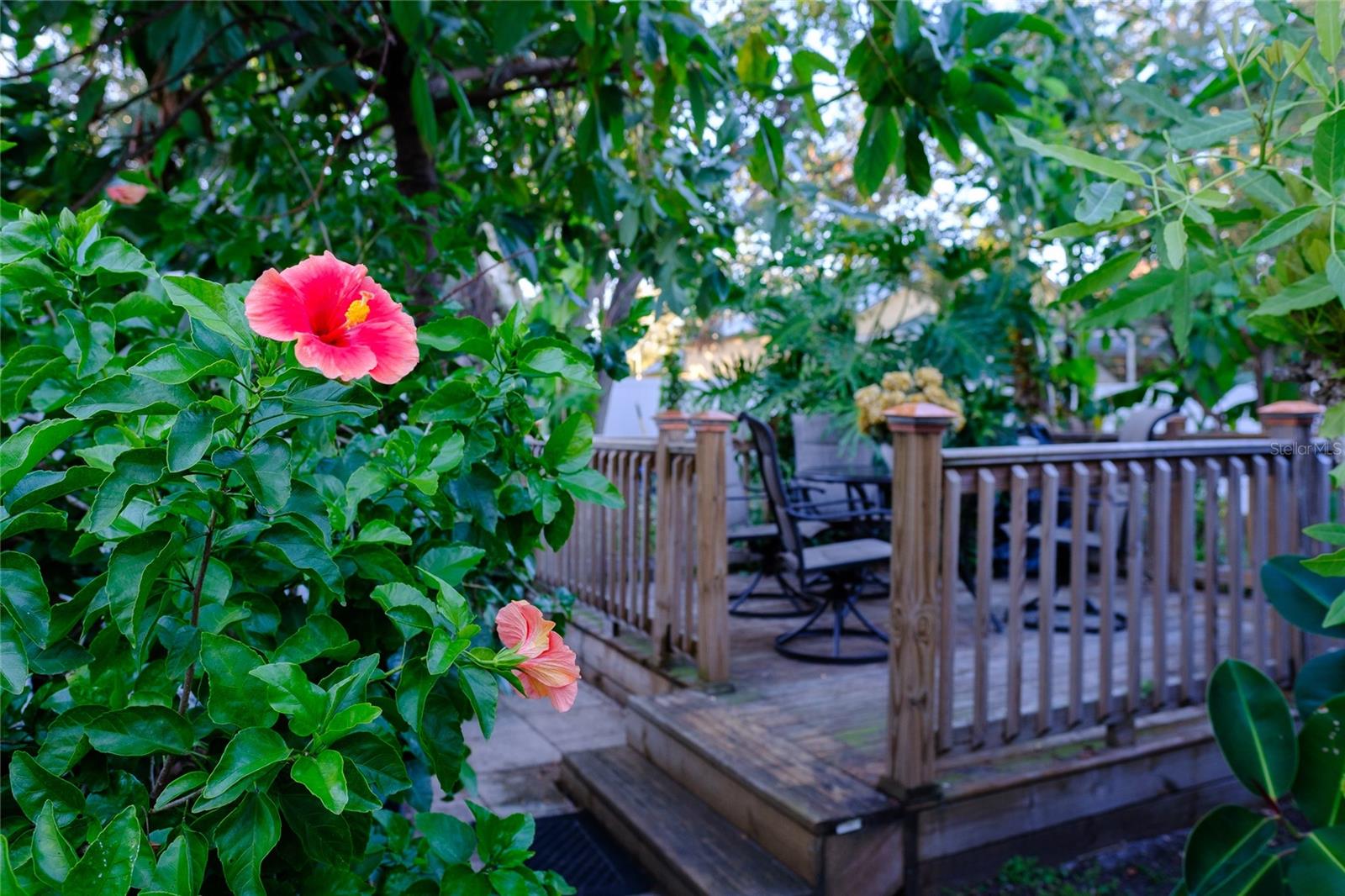 6811 DAUPHIN, TAMPA, FL, 33611