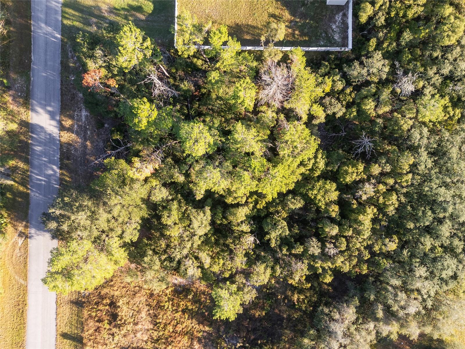 TBD SW 31ST CT, OCALA, FL, 34473